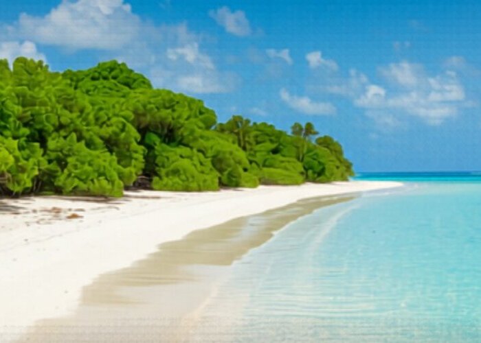 Islands and Nature near Clearwater Florida