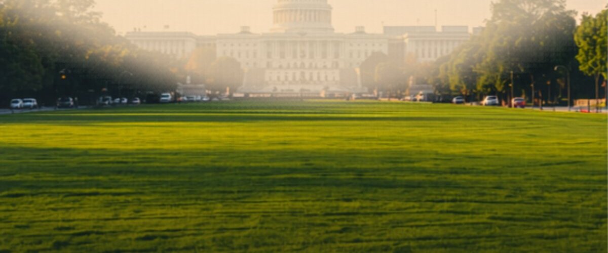 The National Mall Washington DC