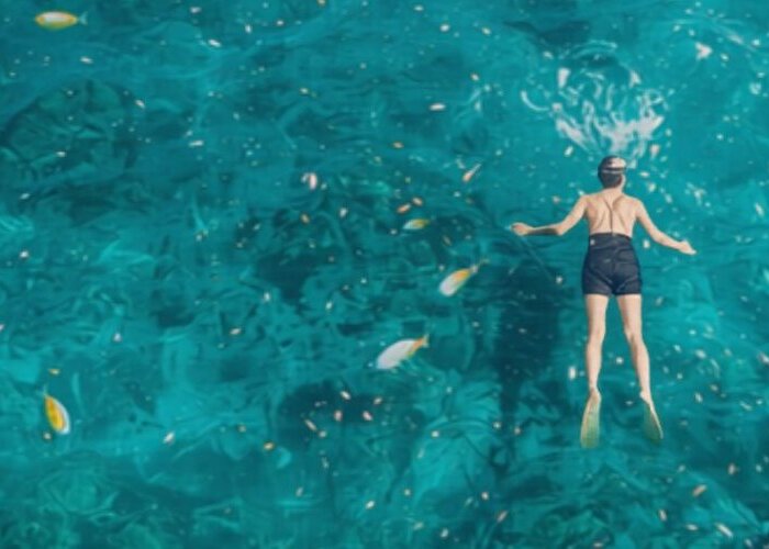 Water Activities in Maui Hawaii