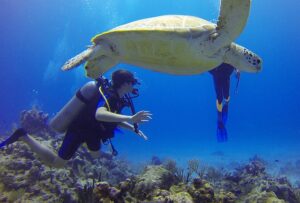 Scuba Diving Cancun Mexico