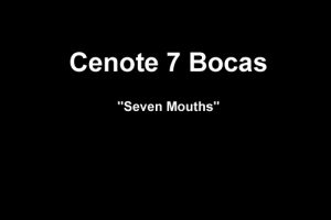 Cenote 7 Bocas