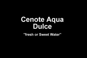 Cenote Aqua Dulce