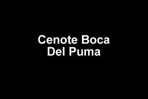 Cenote Boca Del Puma