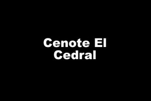 Cenote El Cedral Cozumel Island