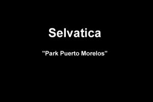 Selvatica Park Puerto Morelos