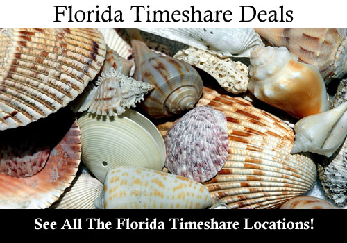 Florida Timeshare Vacation Promotions