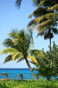 Discover Cozumel Island Via A Timeshare Vacation Promotion 