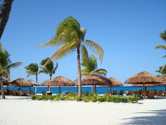 Discover Cozumel Island Via A Timeshare Vacation Promotion