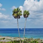 Discover Cozumel Island Via A Timeshare Vacation Promotion