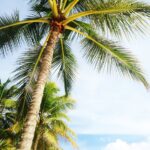 Discover Miami Beach Miami Via A timeshare Vacation Promotion