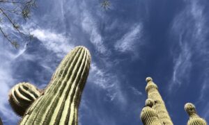 Discover Peoria Arizona Via A Timeshare Vacation Promotion