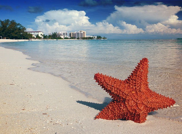 Discover The Bahama Islands Via A Timeshare Vacation Promotion
