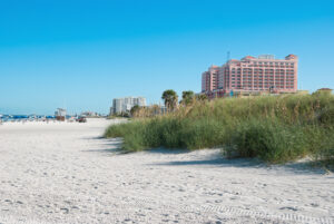 Discover Tampa Florida via a timeshare vacation deals