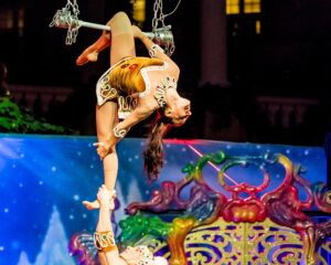 Las Vegas Cirque du Soleil Shows